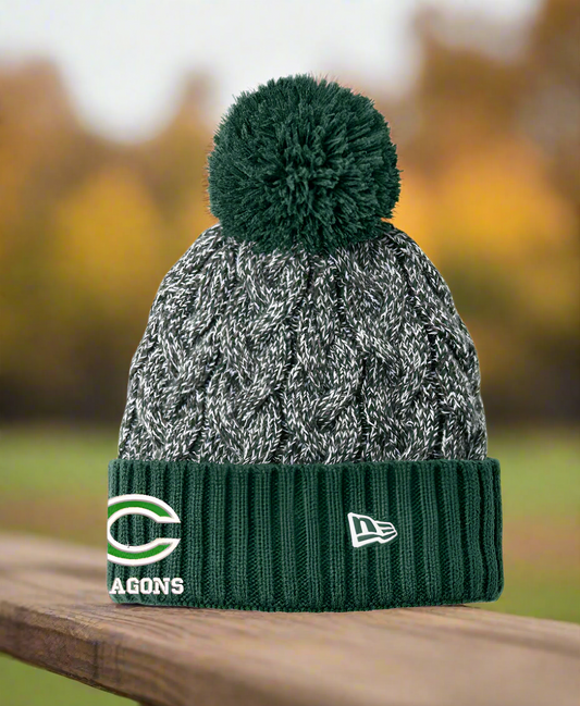 Gray knit beanie with green pom-pom and 'Packers' branding on a white background