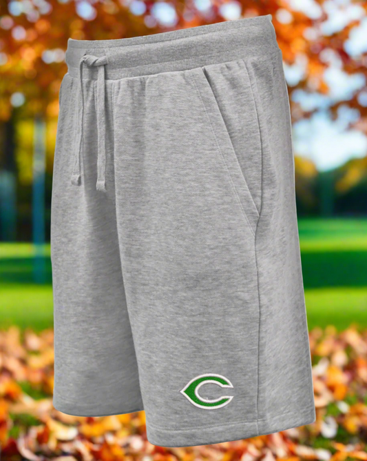 Gray shorts with a green logo on a white background