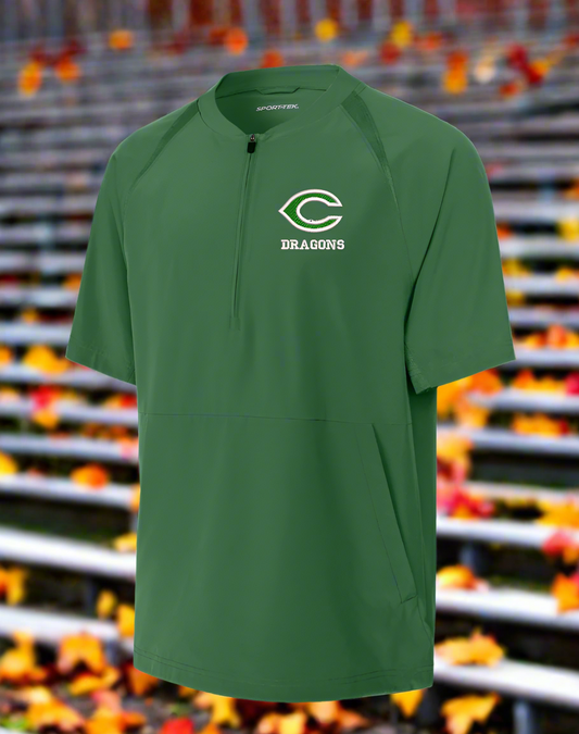 Green sports shirt with 'Dragons' logo on a white background