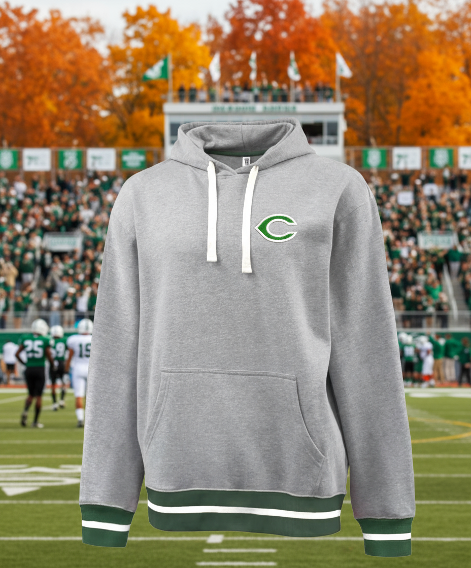 Gray hoodie with a green and white logo on a white background