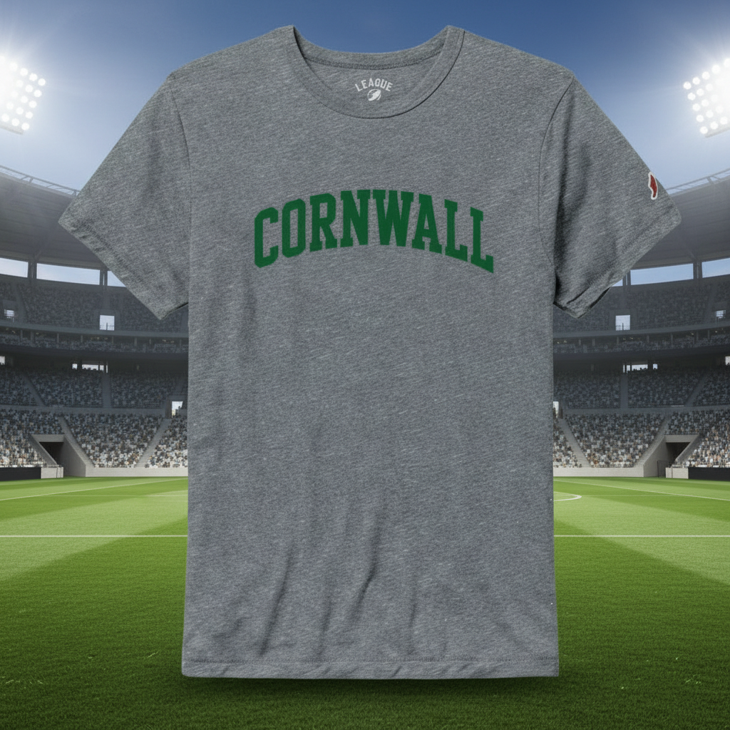 Gray t-shirt with a colorful logo on a white background